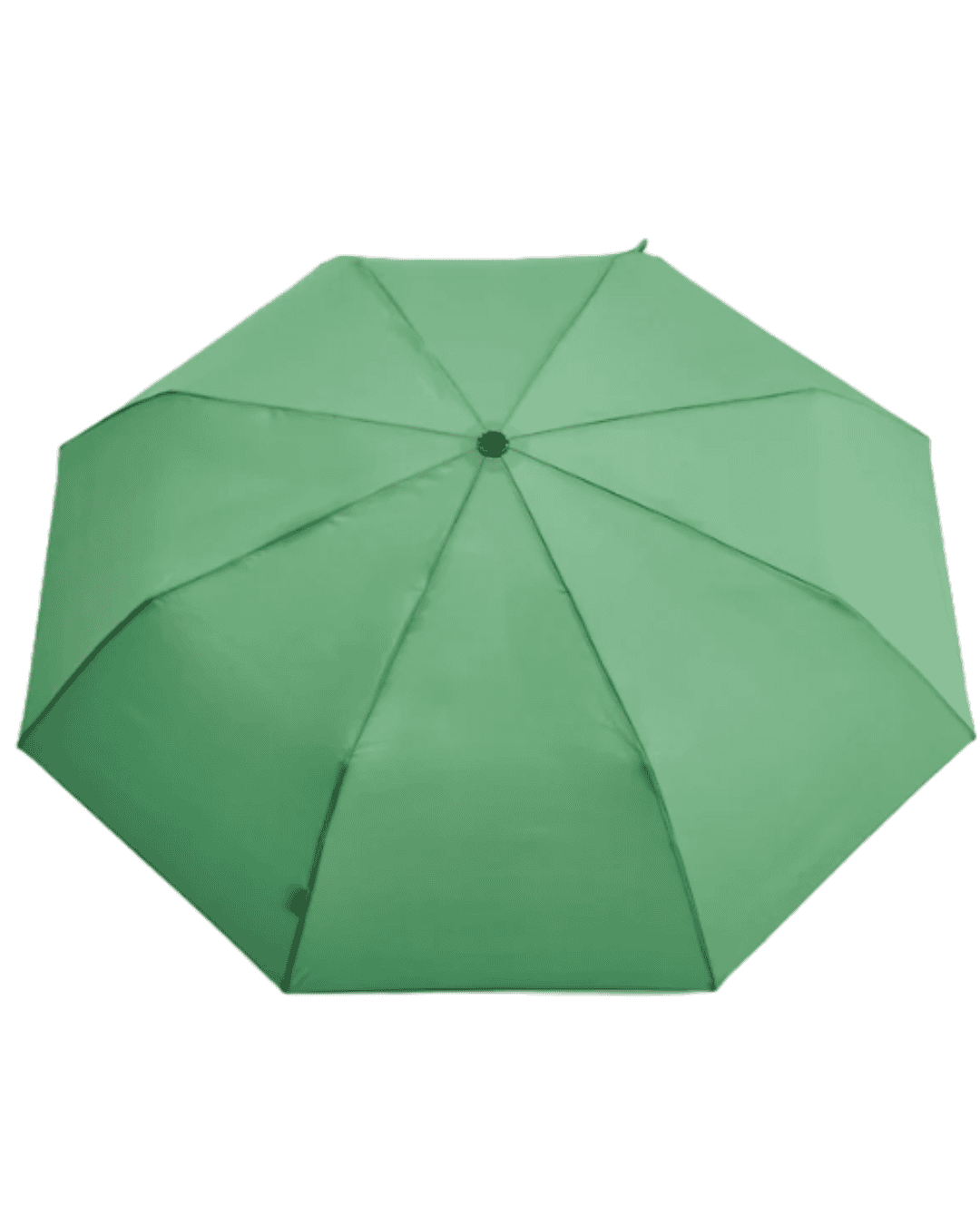 Original Duckhead Umbrella - Image 14