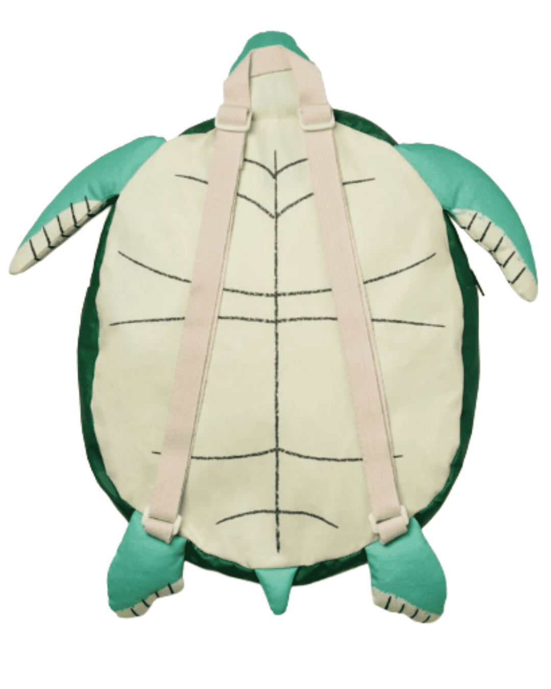 Turtle (Kid) - Image 3