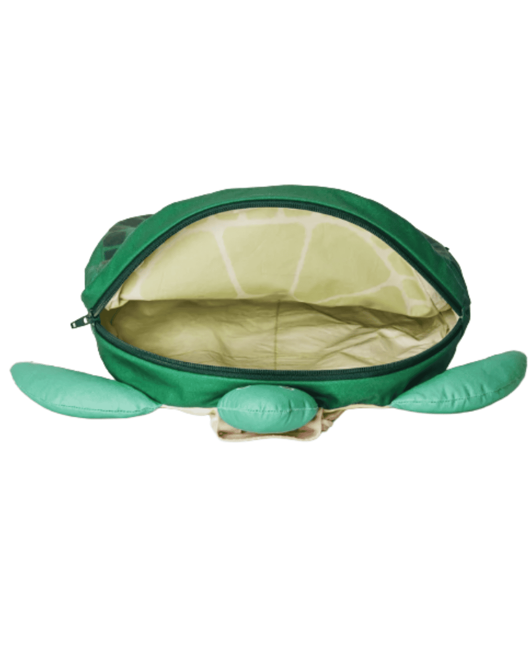 Turtle (Kid) - Image 2